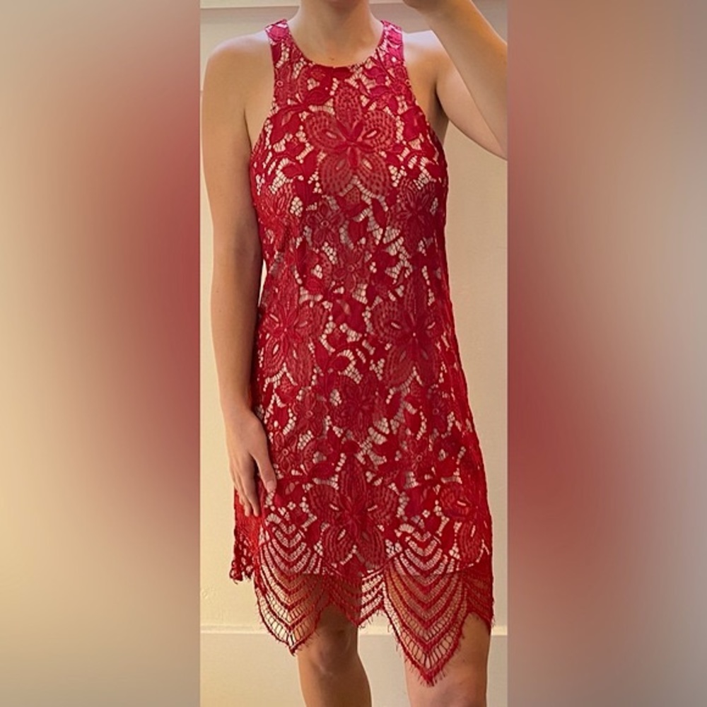 Express Floral Lace Overlay Contrast Sheath Dress
